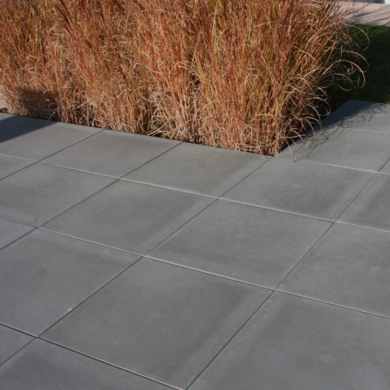 Lisses_grises_Cornaz