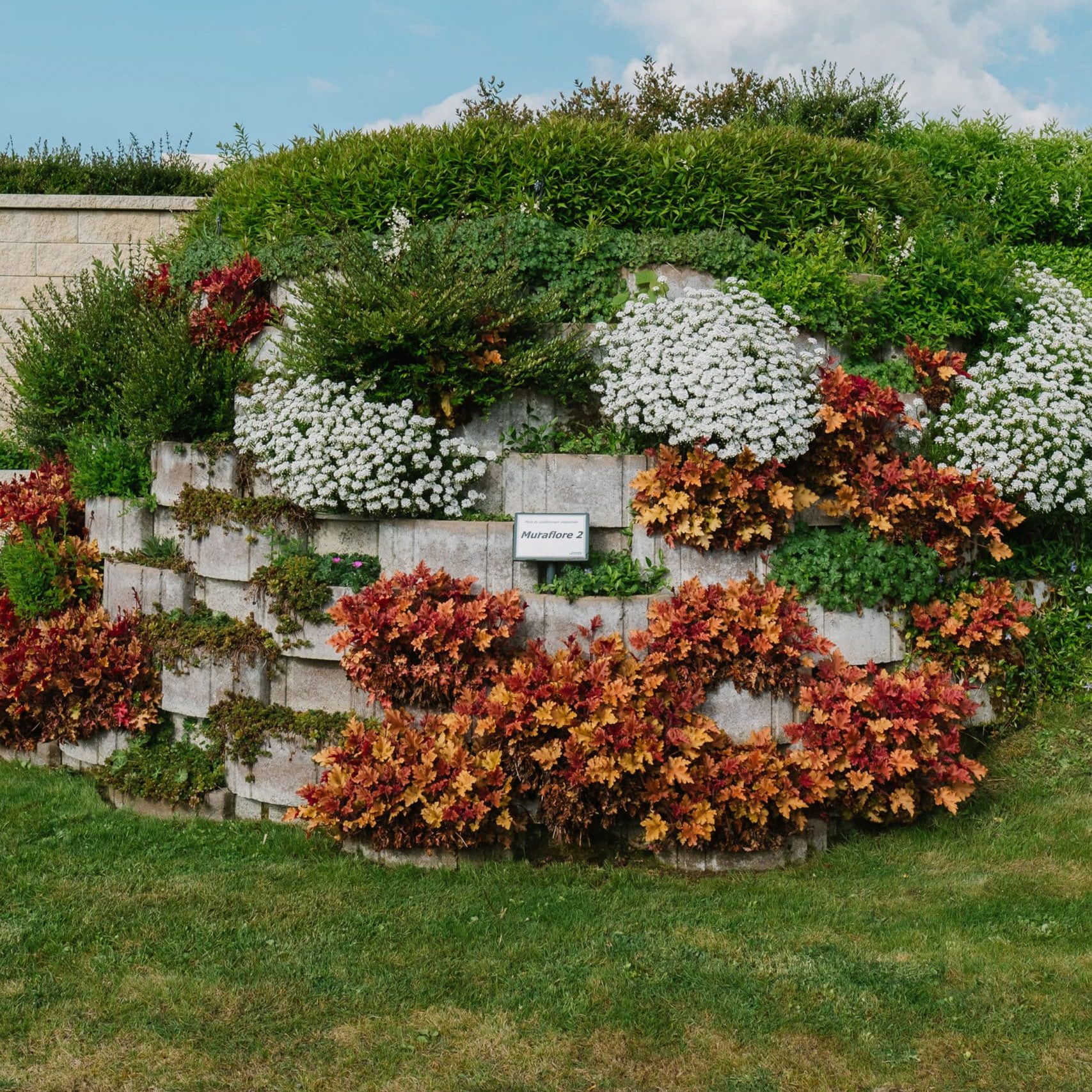 Muraflore 2 - Cornaz SA