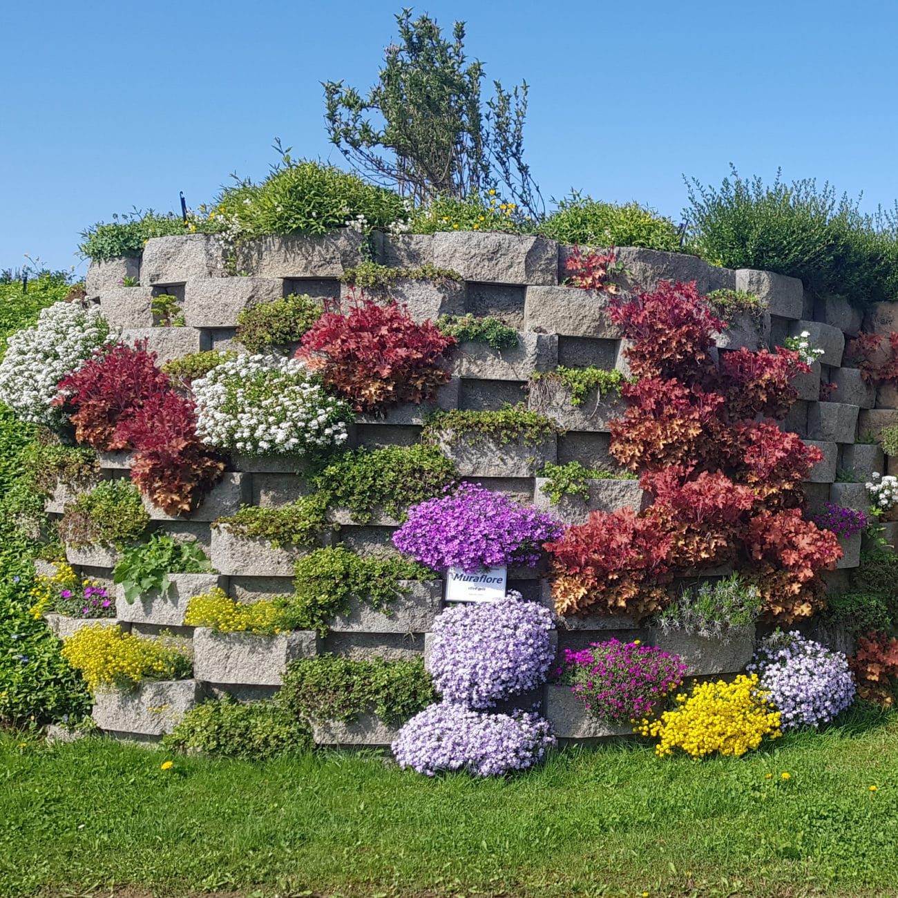 Mur_Muraflore_Clive_Gris