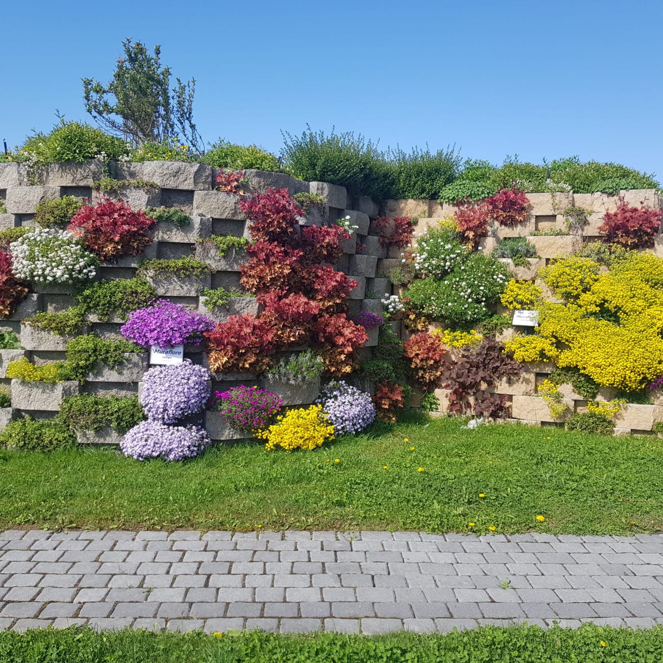 Mur_Muraflore_Clive_Gris_001