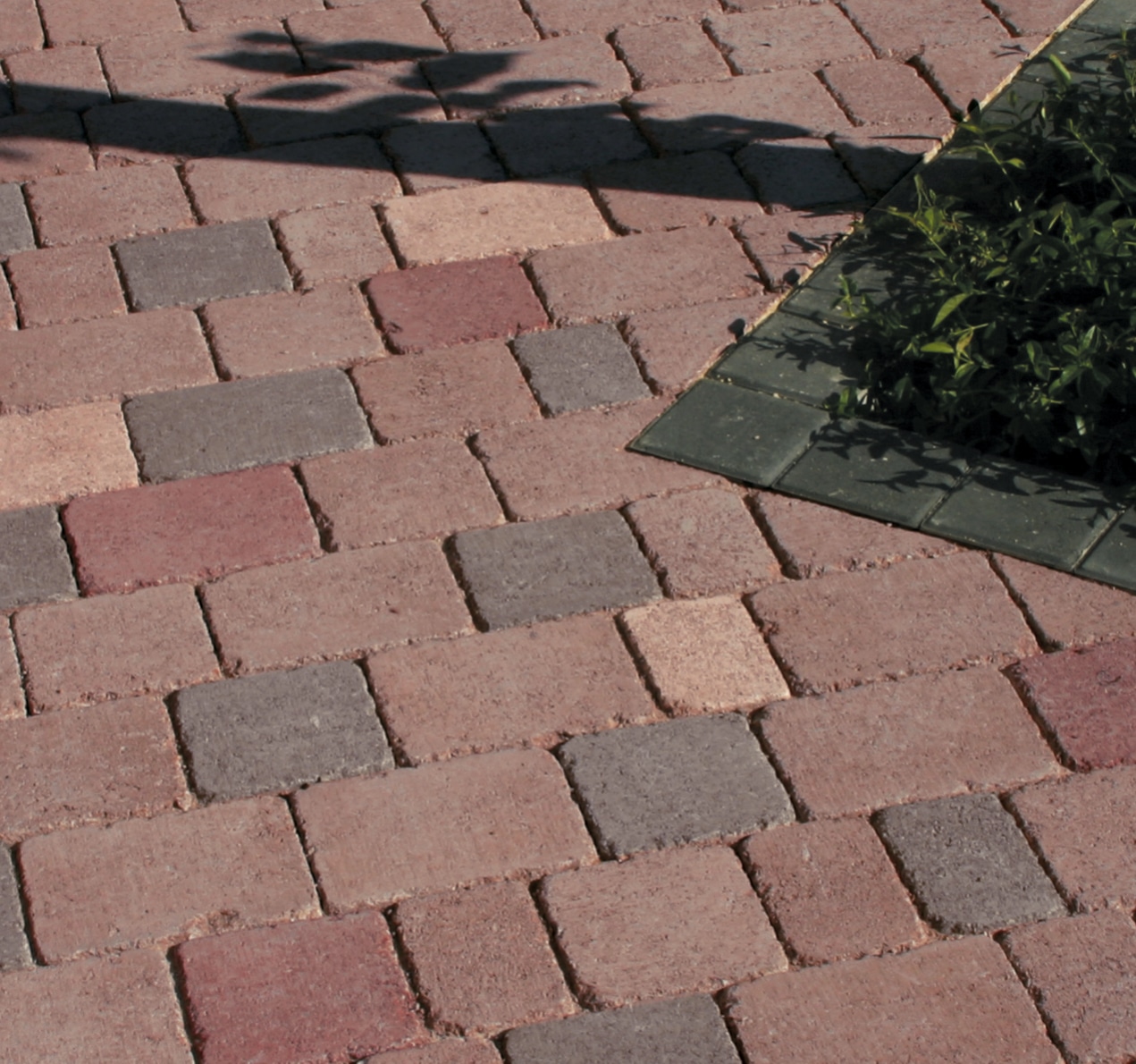 Pave_Rochefort_Brun Flamme_002